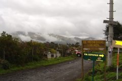 DSC00718-scaled