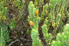 DSC00719-scaled