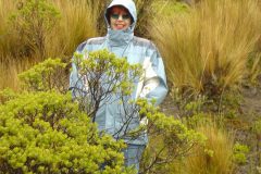 DSC00722-scaled